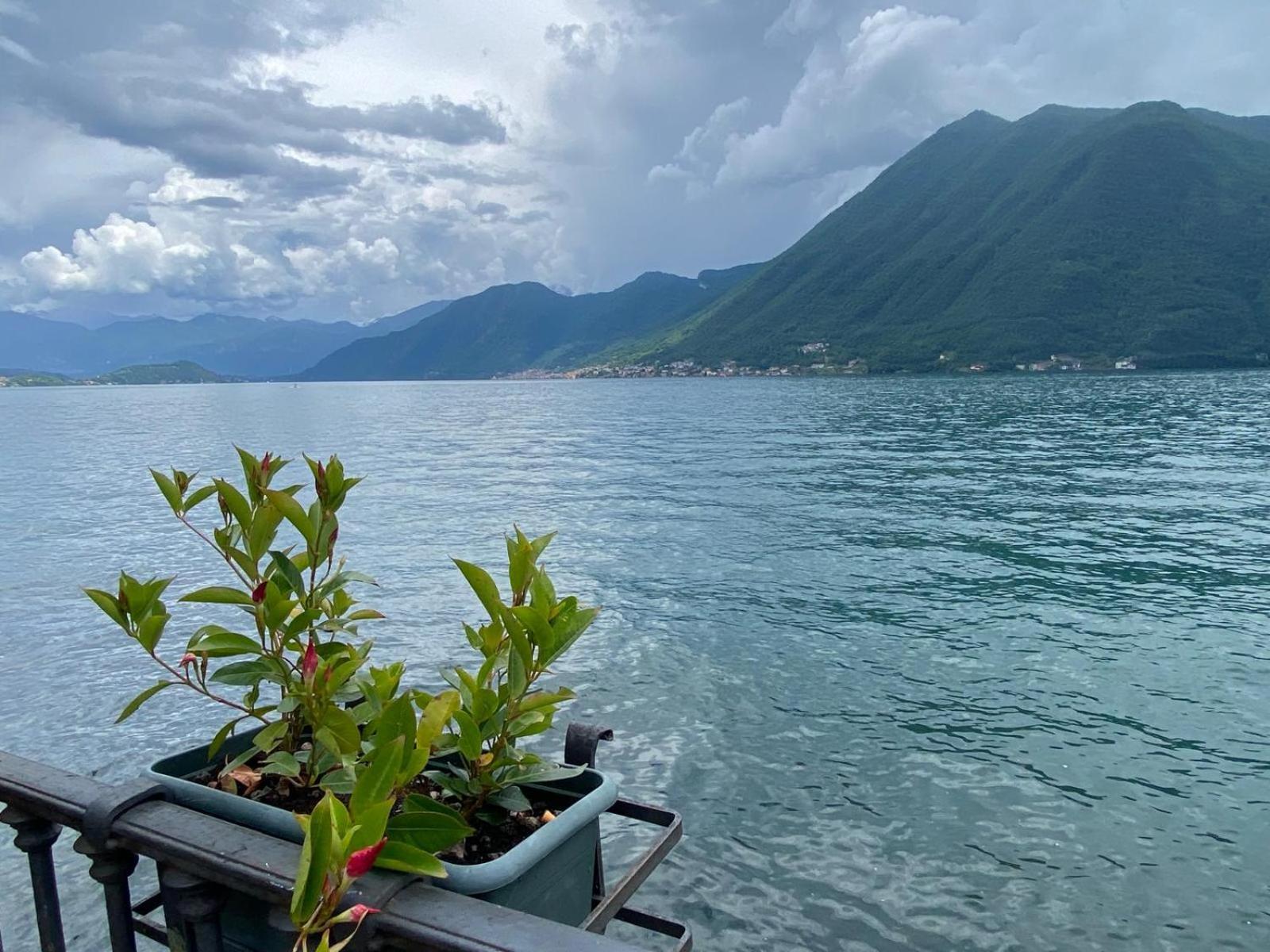 Argegno'S River - Central Apartment Lake View Chambre photo